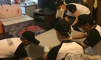 樂山精品搬家服務與室內外裝飾工程設計 打造高品質生活空間